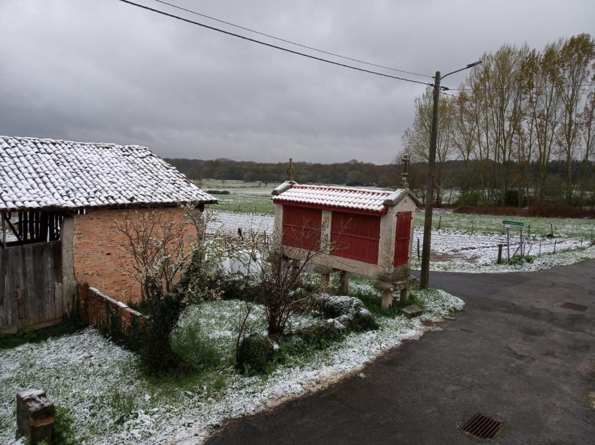 Casa Ribeira Sacra, Ourense, Ninodaguia, Galicia 外观 照片